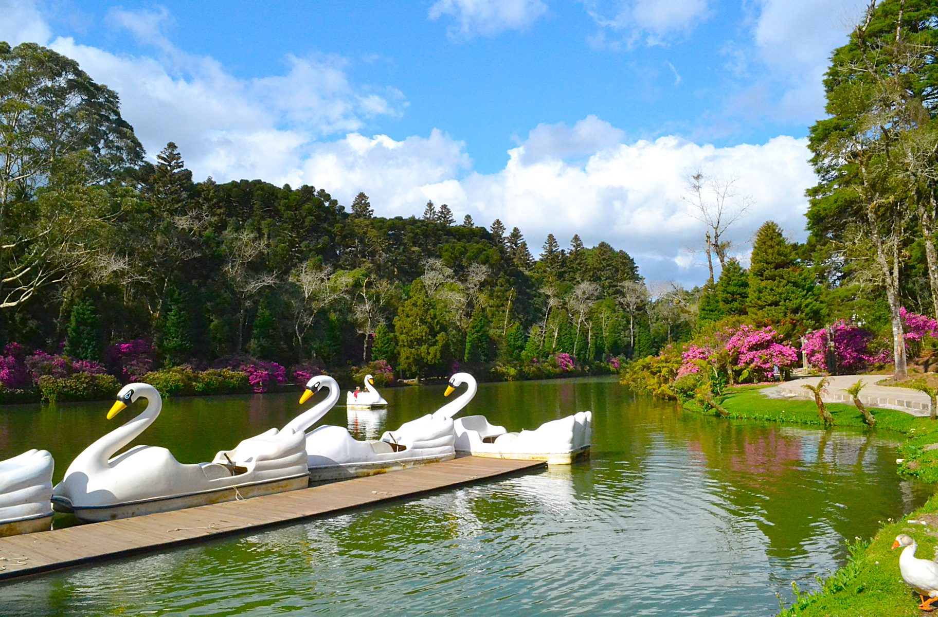 Lago Negro - Gramado - Foto: Ana Pacheco